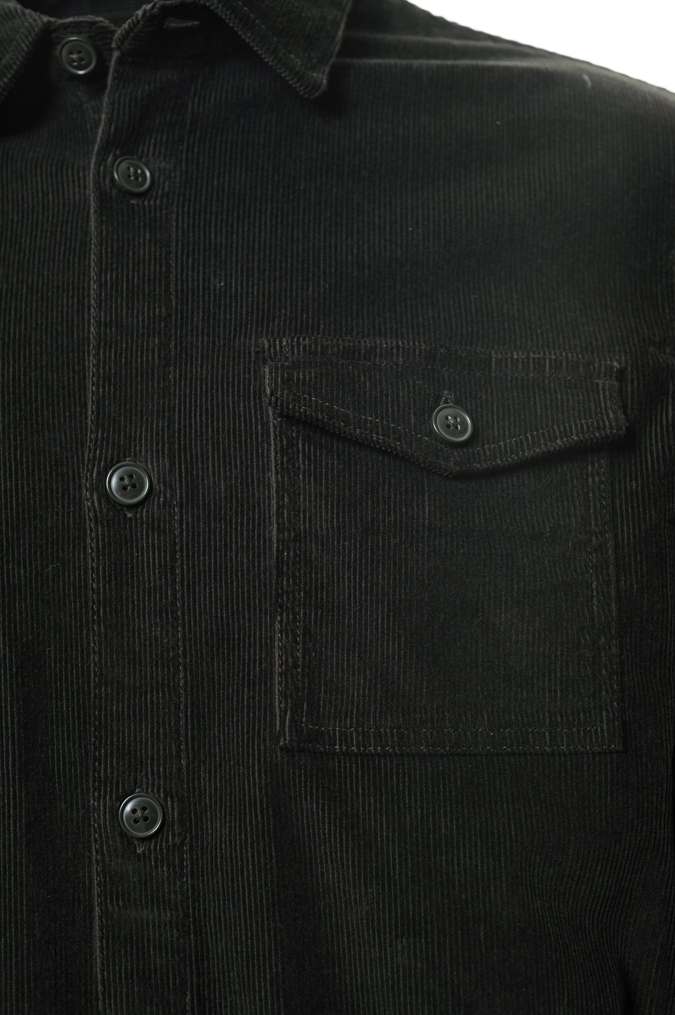 BARBOUR Camicie Autunno/Inverno Cotone