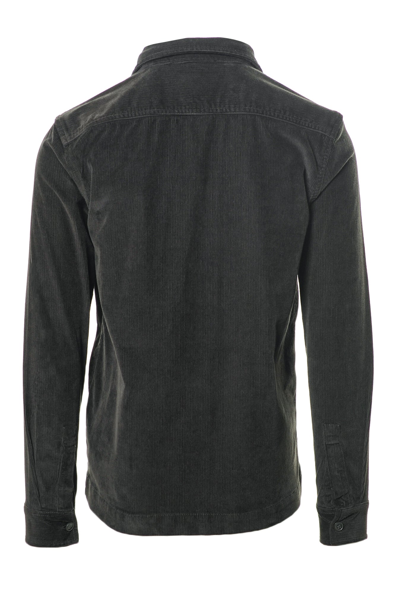 BARBOUR Camicie Autunno/Inverno Cotone