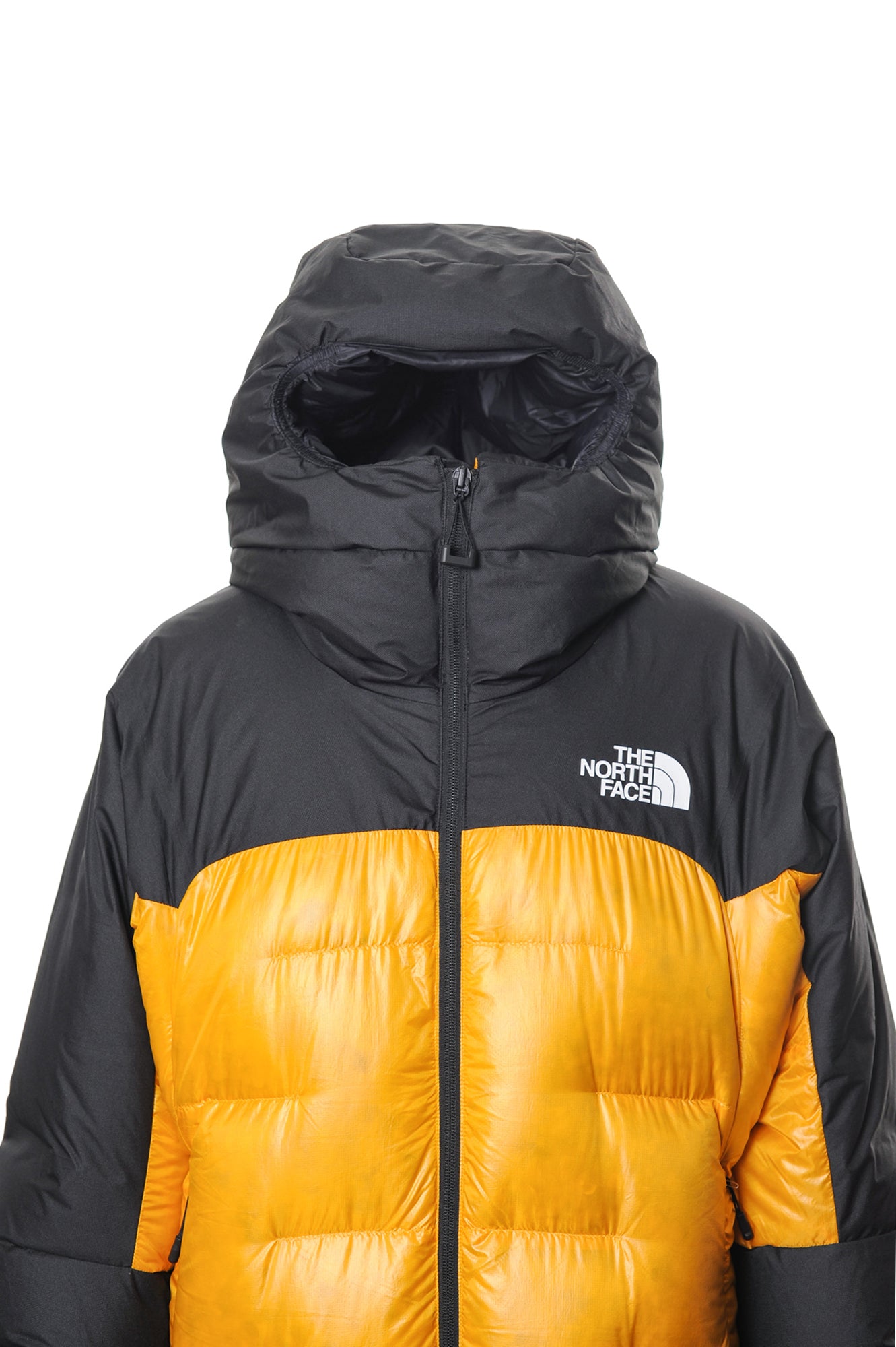 THE NORTH FACE Piumini Autunno/Inverno Poliammide