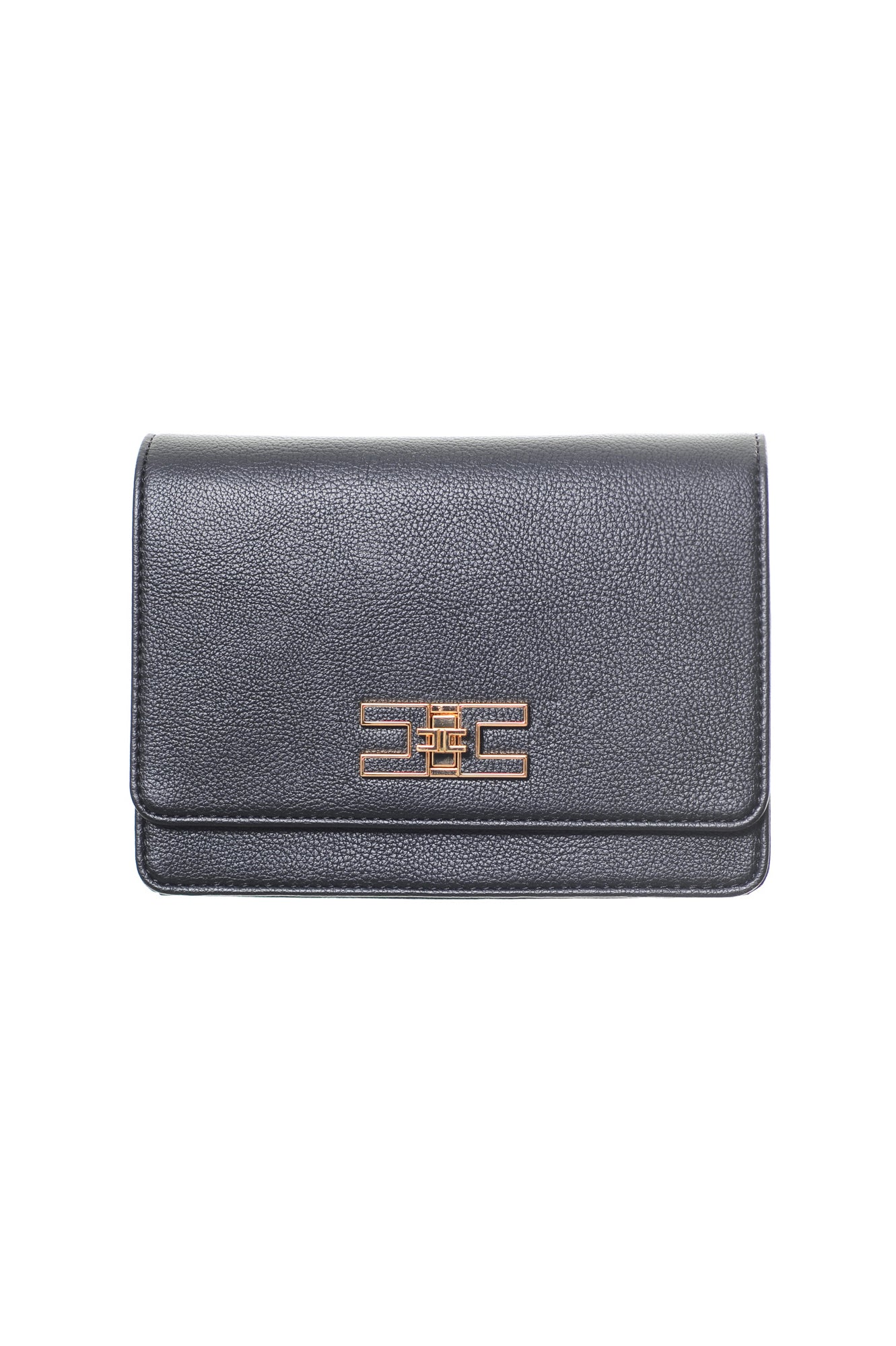 ELISABETTA FRANCHI Borse Autunno/Inverno Poliuretano