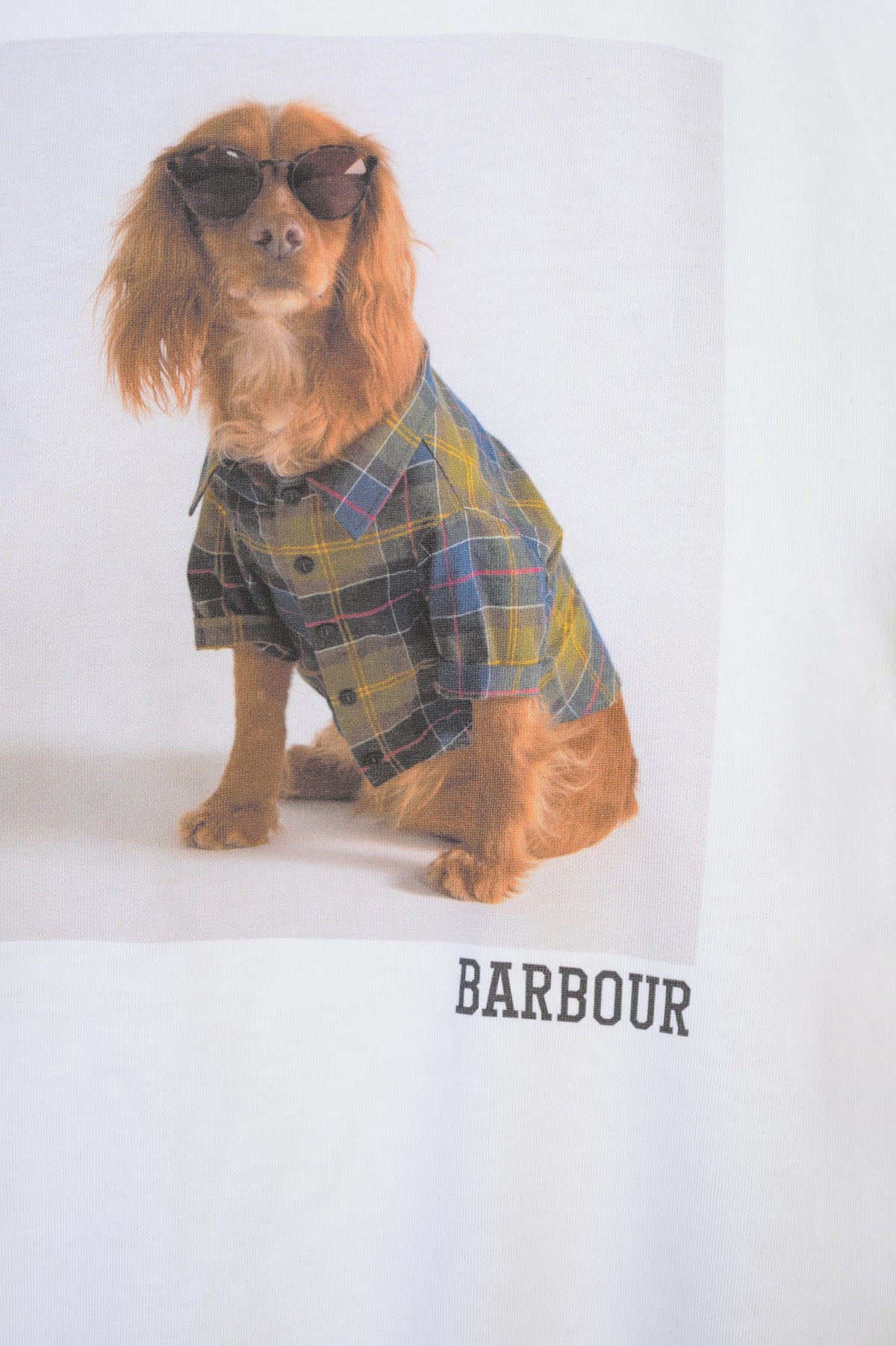 BARBOUR T-shirt Donna Cotone Primavera/Estate