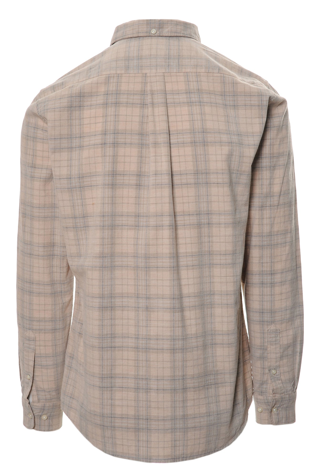 BARBOUR Camicie Autunno/Inverno Cotone