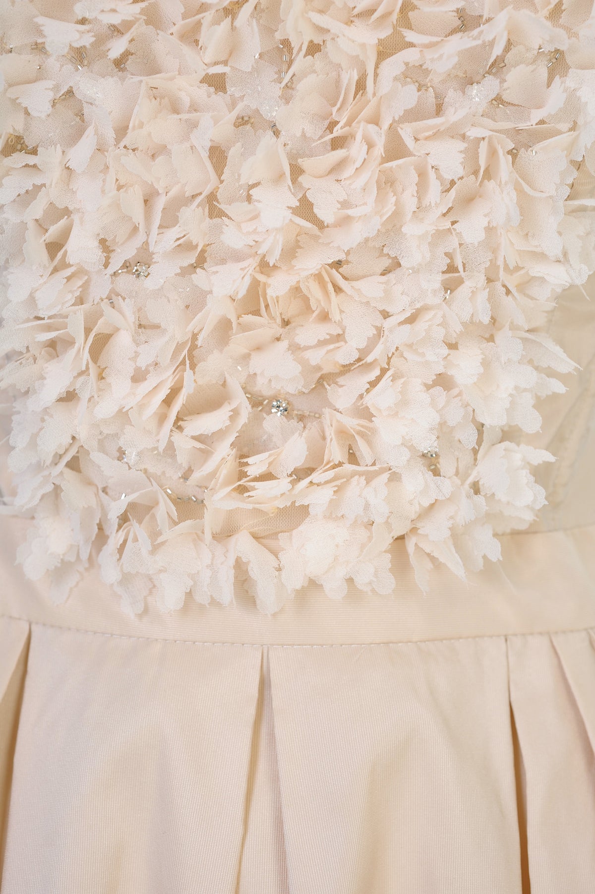 ELISABETTA FRANCHI Vestiti Donna Poliammide Primavera/Estate