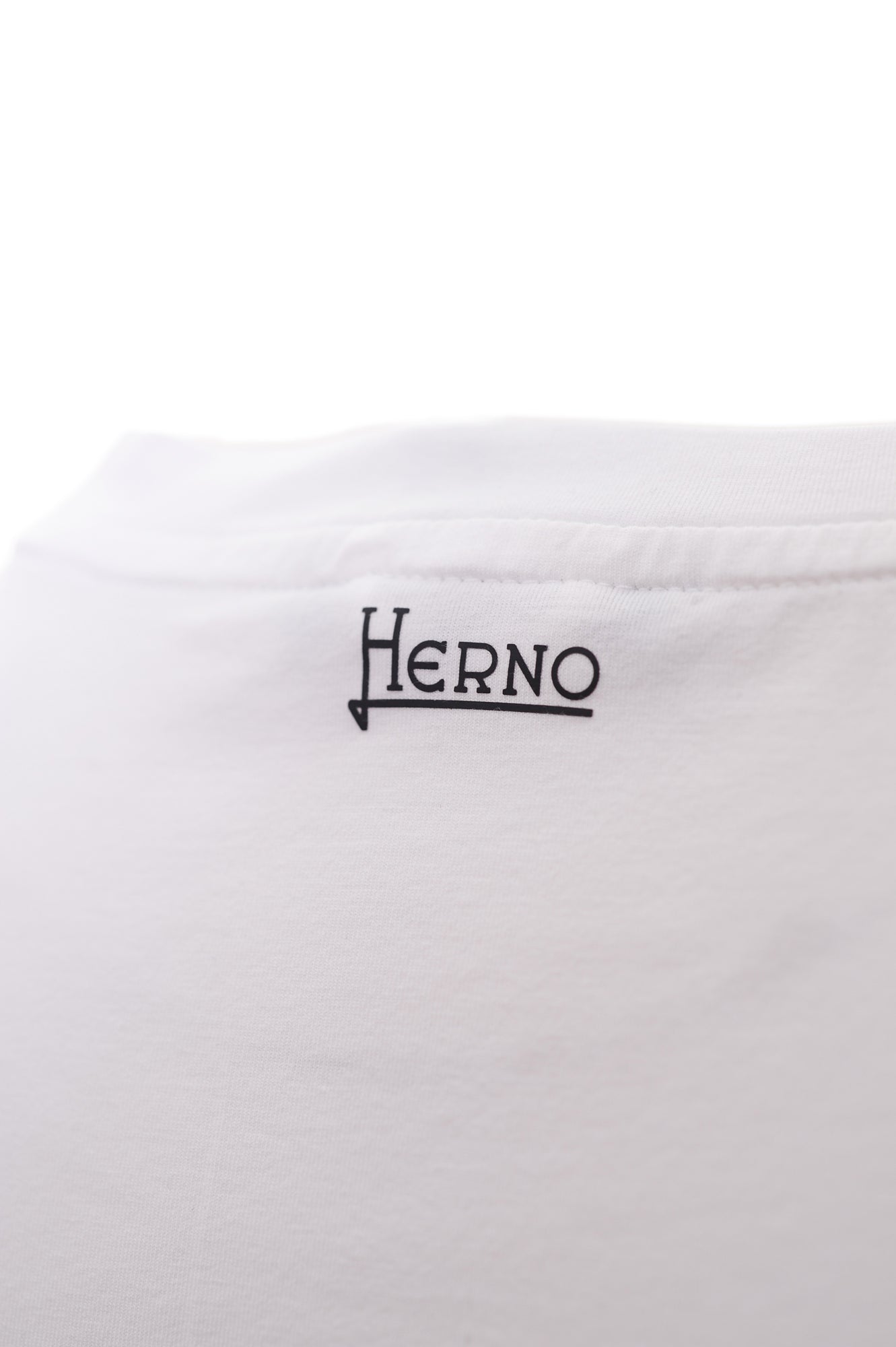 HERNO T-shirt Primavera/Estate Cotone