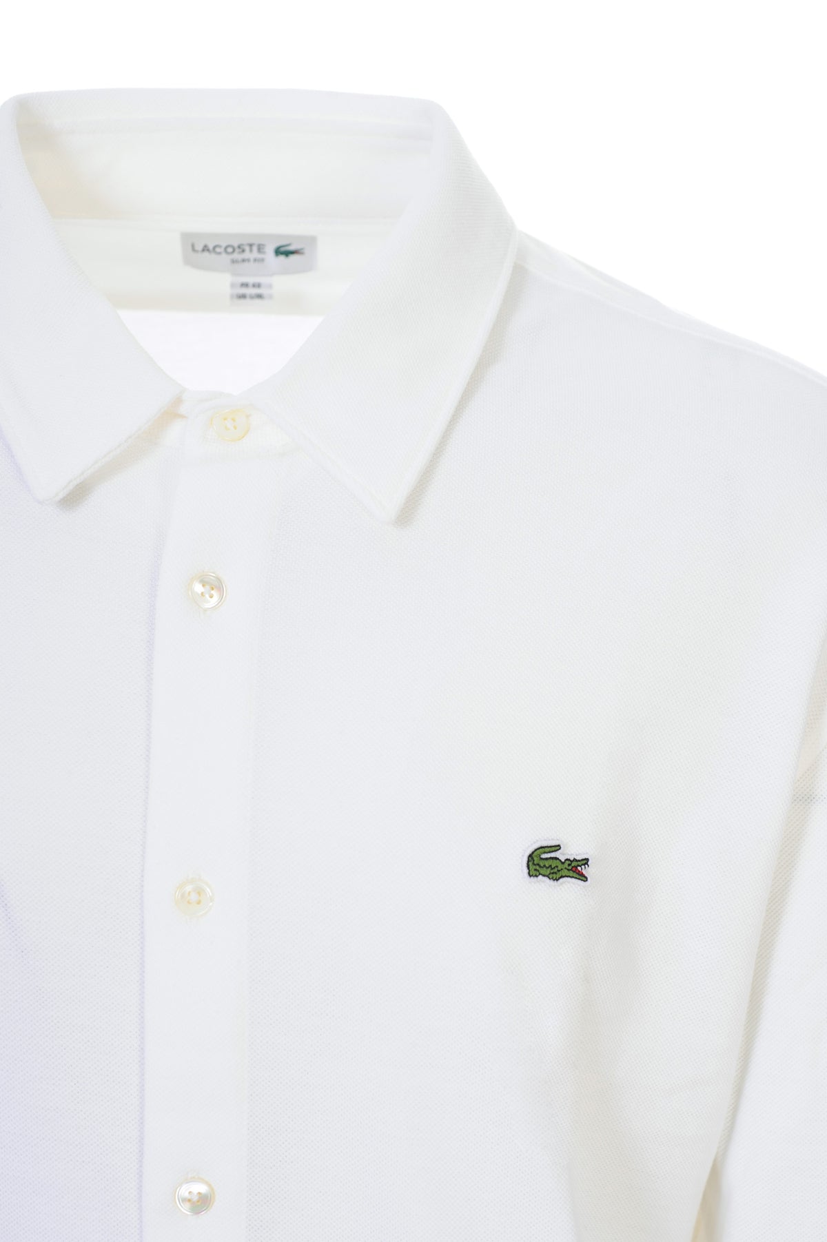 LACOSTE Camicie Uomo Cotone Primavera/Estate