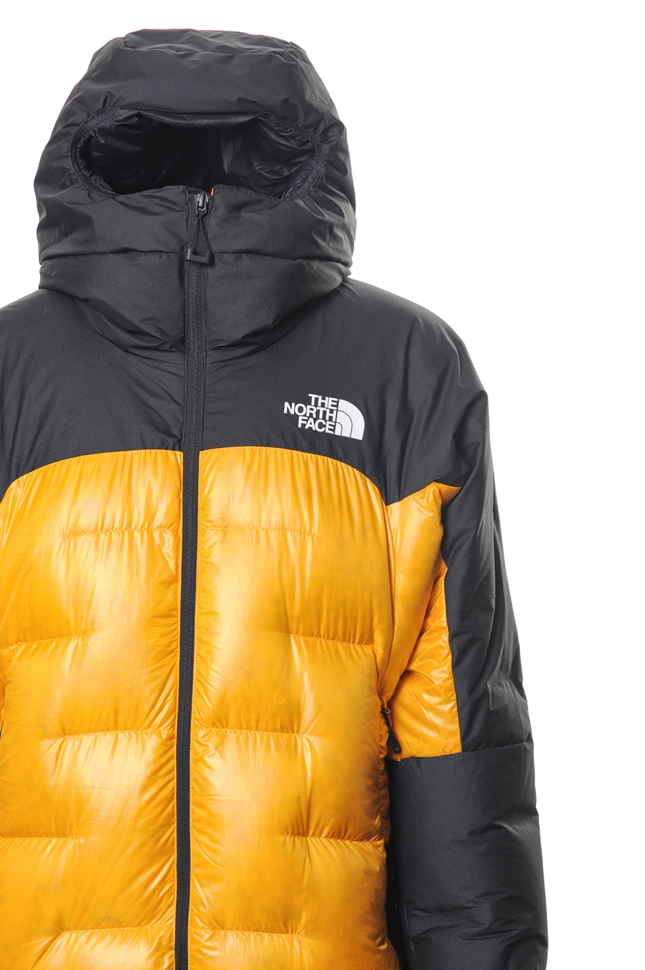 THE NORTH FACE Piumini Autunno/Inverno Poliammide