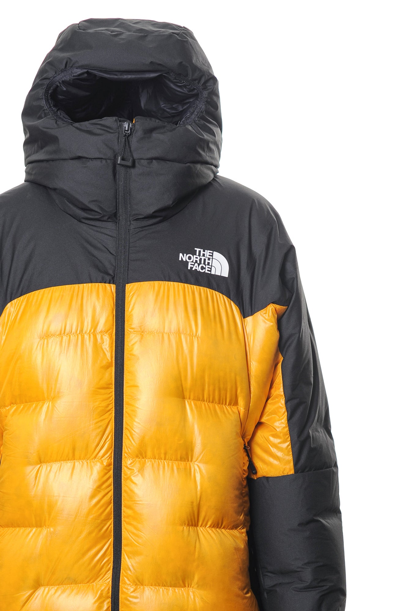 THE NORTH FACE Piumini Autunno/Inverno Poliammide