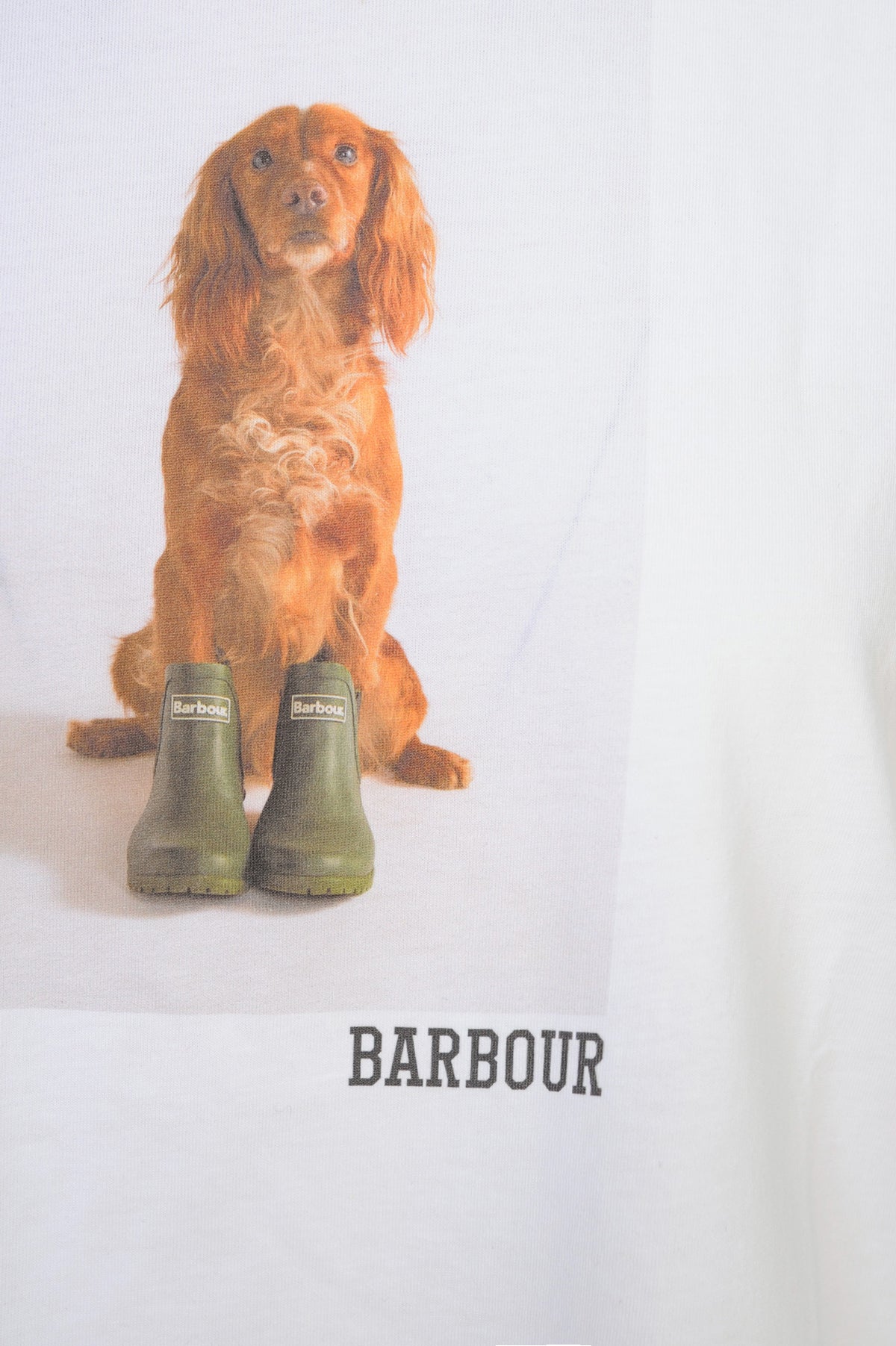 BARBOUR T-shirt Donna Cotone Primavera/Estate