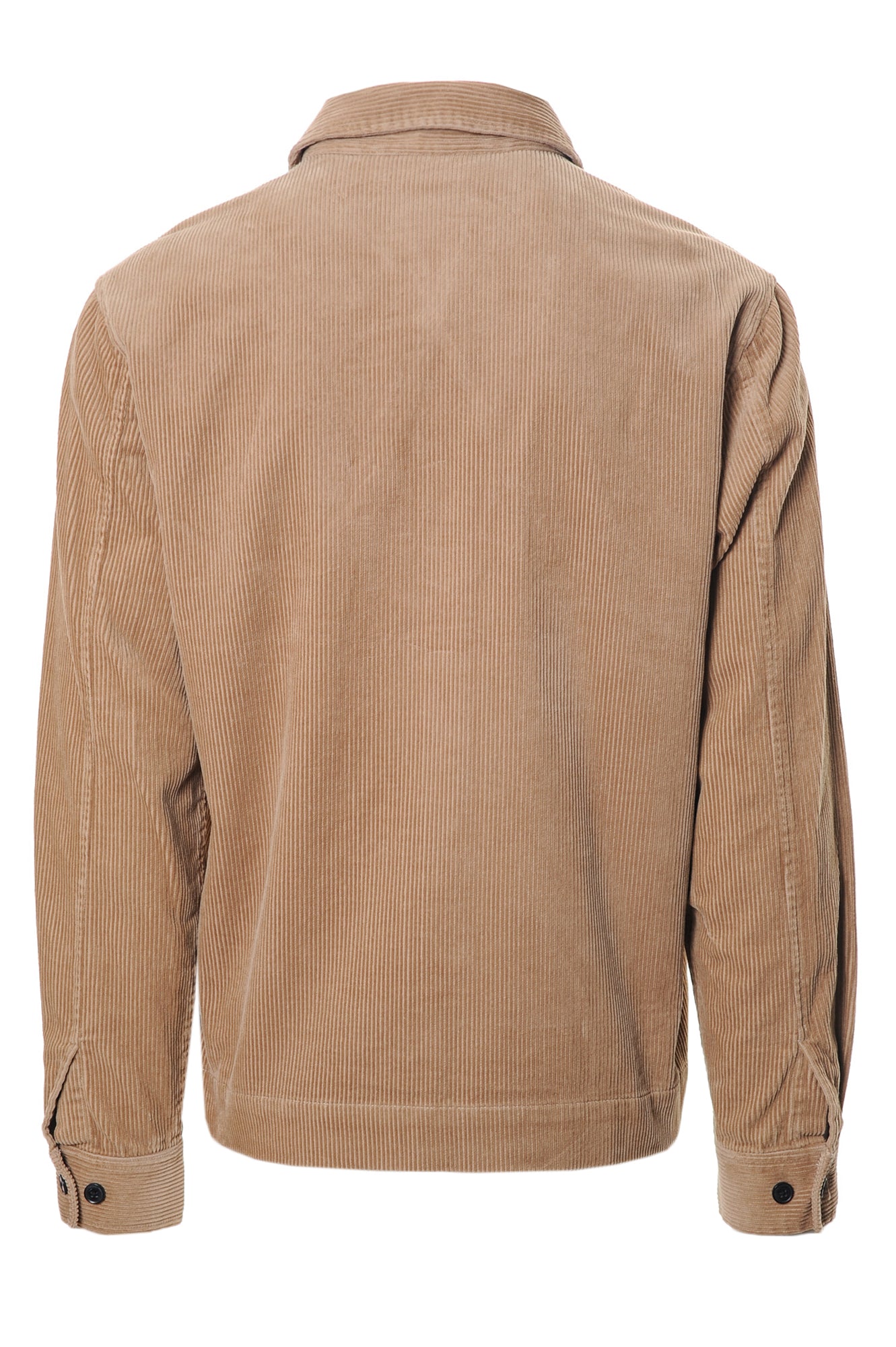 SUN 68 Camicie Autunno/Inverno Cotone
